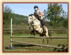 Tereza a Greisy: menší skoky už zvládají bez držení se sedla