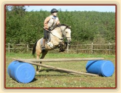 Tereza a Greisy: skoky přes větší překážky také nejsou problém, jen se jezdkyně jednou rukou ještě drží sedla.