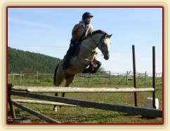 Tereza a Greisy: skoky přes větší překážky také nejsou problém, jen se jezdkyně jednou rukou ještě drží sedla.