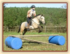 Tereza a Greisy: skoky přes větší překážky také nejsou problém, jen se jezdkyně jednou rukou ještě drží sedla.