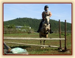 Tereza a Greisy: skoky přes větší překážky také nejsou problém, jen se jezdkyně jednou rukou ještě drží sedla.