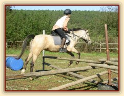 Tereza a Greisy: i větší skoky začíná Tereza skákat bez držení se sedla