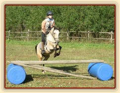 Tereza a Greisy: skoky přes větší překážky také nejsou problém, jen se jezdkyně jednou rukou ještě drží sedla.