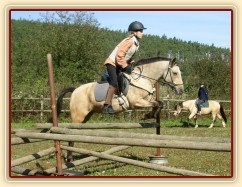 Tereza a Greisy: i větší skoky začíná Tereza skákat bez držení se sedla