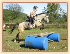 Tereza a Greisy: i větší skoky začíná Tereza skákat bez držení se sedla