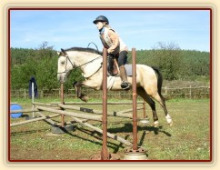 Tereza a Greisy: i větší skoky začíná Tereza skákat bez držení se sedla