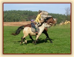 Anča na Greisy na vyjížďce ve cvalu