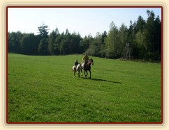 Anča na Greisy na vyjížďce
