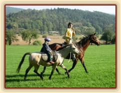 Anča na Greisy na vyjížďce v klusu