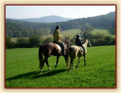 Anča na Greisy na vyjížďce v klusu