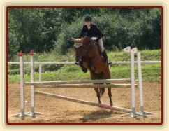 Opracování před parkurem Z