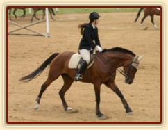 Opracování před parkurem ZL