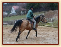 První pokusy o ohnutí na kruhu v klusu