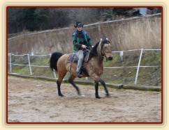 Klus a vzteklá Keisy