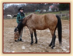 Klidné stání s hlavou dole