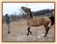 Ze začátku práce ze země byly různé konflikty - couvání