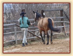 Ustupování podél stěny