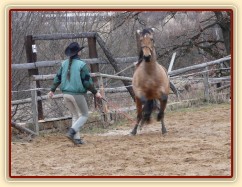 Ze začátku práce ze země byly různé konflikty - ustupovaní podél stěny
