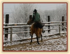 Ustupování na holeň