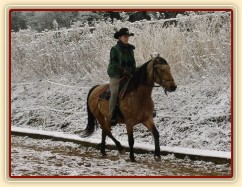 klidný klus okolo jízdárny