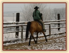 Ustupování na holeň v klusu