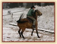 "zásek" - Keisy nechce udělat kruh