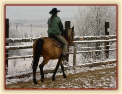 Keisy v kroku vyjadřující názor na udidlo