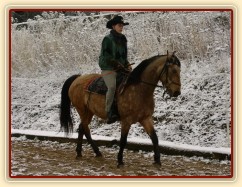 Keisy v klusu, je i trochu na otěži