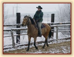 Keisy v klusu kolem jízdárny