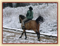 Vzteklé nacválání