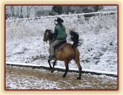 Cval, těsně po vyhození