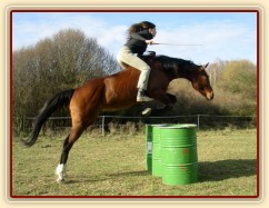 Skok bez sedla a "řízení", jaro 2007