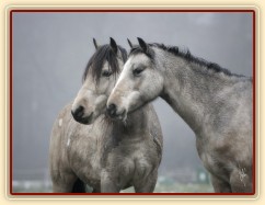 Greisy a Galen, foto Tereza Huclová