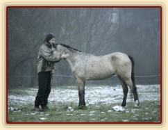Greisy při práci, foto Tereza Huclová