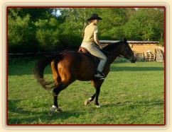 Klus na jízdárně, ohnutí na kruhu bylo ze začátku trochu problém