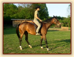 zastavení, snaha o couvání