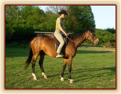 zastavení, stání na volné otěži