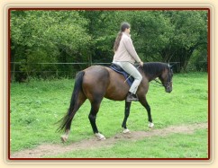 Krok na volné otěži