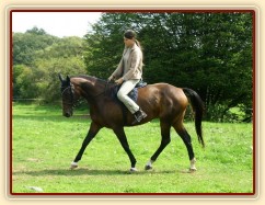 Klus na jízdárně, začínáme pracovat na sebrání, někdy je potřeba použít víc holeně