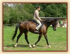 Klus na jízdárně, začínáme pracovat na sebrání