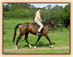 Klus na jízdárně, začínáme pracovat na sebrání