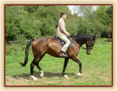 Klus na jízdárně, začínáme pracovat na sebrání