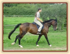 Cval na jízdárně, začínáme pracovat na sebrání