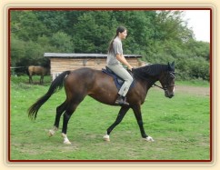 Cval na jízdárně, začínáme pracovat na sebrání