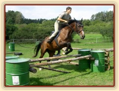 Skákání Czaju moc baví, skáče ochotně