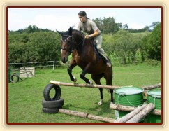 Skákání Czaju moc baví, skáče ochotně