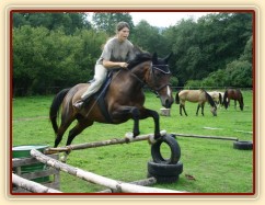 Skákání Czaju moc baví, skáče ochotně