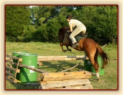 Janek skáče skoky na jízdárně