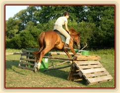 Janek skáče skoky na jízdárně
