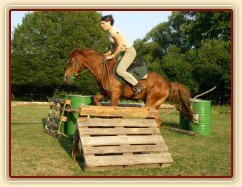 Janek skáče skoky na jízdárně